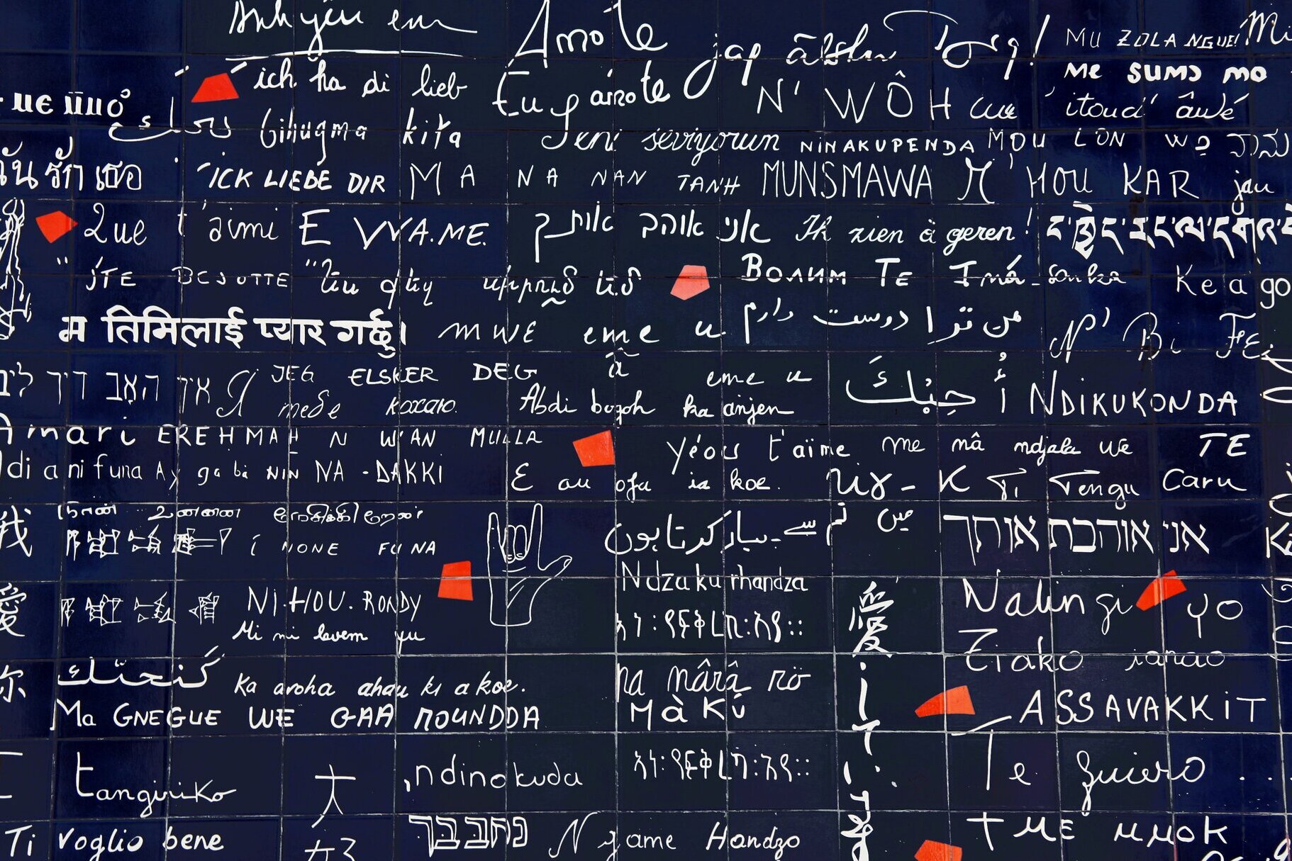 a wall of different languages and text
